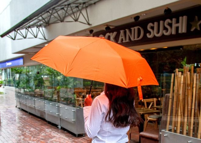 Paraguas 21" Ventura - Image 2