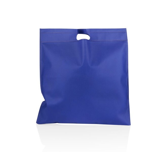 Rally Bag Pro – Fecha de Importación: 24/06/2024